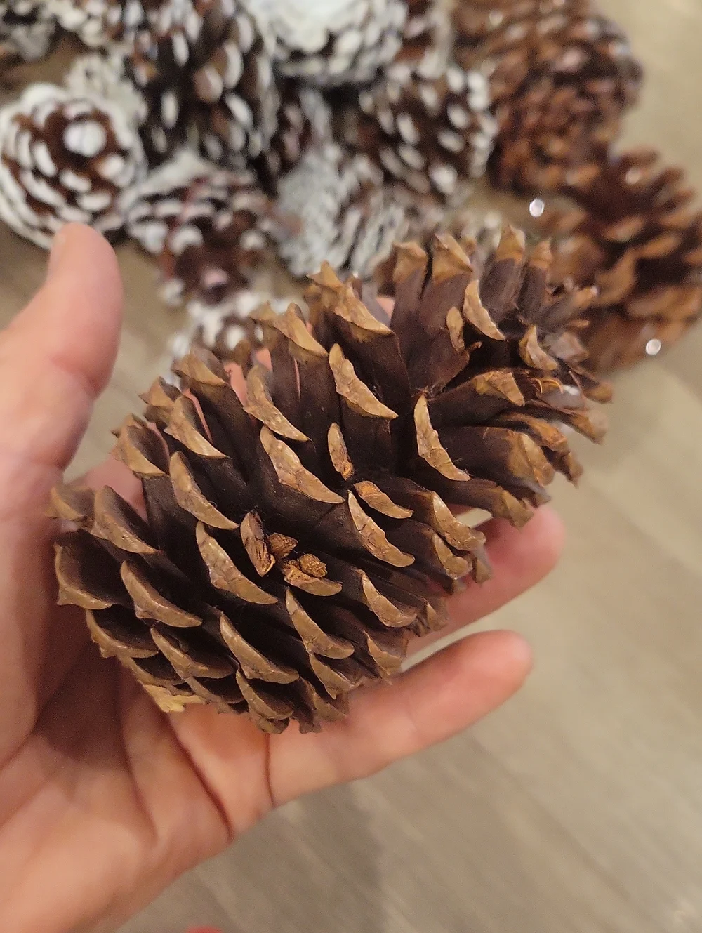 Holiday Pinecone Bundle